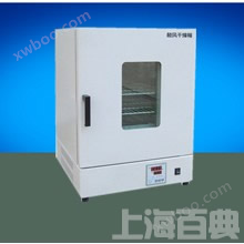 百典专业生产300℃立式鼓风干燥箱DHG-9075（A）