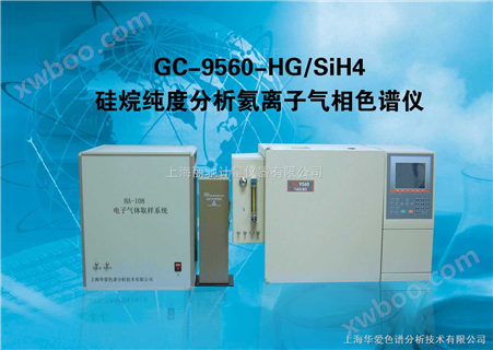 GC-9560-HG硅烷纯度分析氦离子气相色谱仪