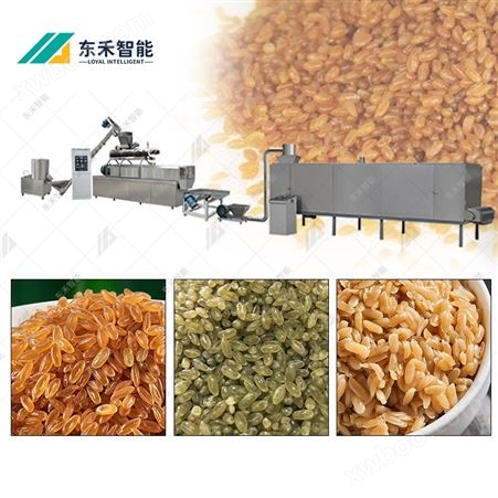 厂家黄金米苦荞米生产线 人造米加工机械