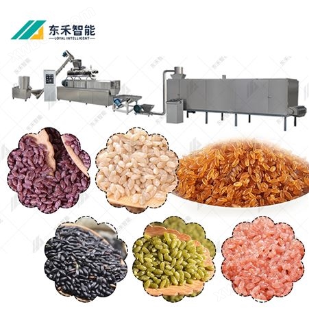 厂家黄金米苦荞米生产线 人造米加工机械