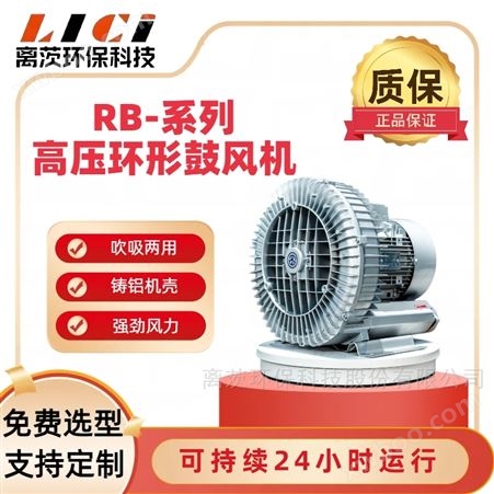 RB-91D-1大功率气力输送 污水处理增氧风机 高压风机