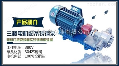 2CY-12/0.33齿轮泵_汽油泵_柴油泵_会泉泵业