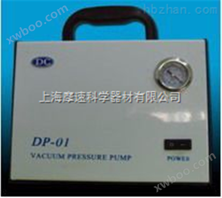 无油隔膜真空泵DP-01