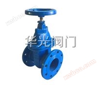 Z45T/W-10/16Q暗杆楔式/防护闸阀