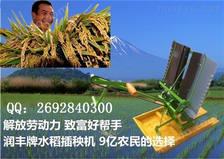 两行秧苗种植机价格 水稻插秧机型号
