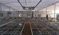 温室育苗遥控喷灌机水车