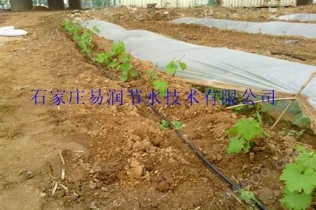 顺义区浇水塑料管对种子萌芽_蔬菜滴灌管的好处