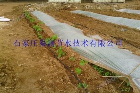 滴灌厂家供应北京大棚滴灌/花卉滴灌管/浇水塑料管