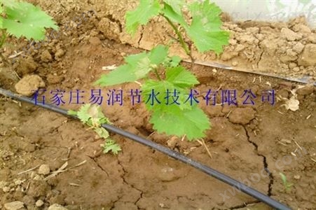 滴灌厂家供应北京大棚滴灌/花卉滴灌管/浇水塑料管