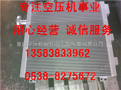 20Y-00-12、20Y-00-13上海飞和冷却器