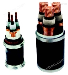 佰汇额定电压0.6/1/kV交联聚乙烯绝缘电力电缆