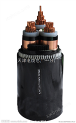 铠装同轴电缆SYV22,国标的SYV22铠装同轴电缆-天津