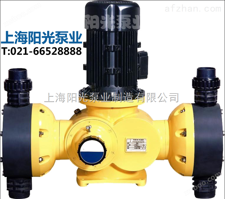 柱塞式计量泵|计量泵|J-X系列柱塞式计量泵