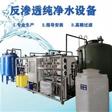 4吨双极反渗透+EDI设备工业水处理设备