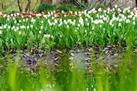 2025年生态文明建设示范区和“绿水青山就是金山银山”实践创新基地拟命名名单公示