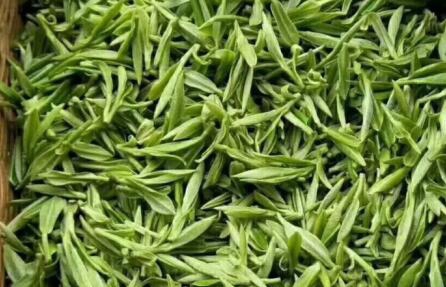 海南省标准化协会 关于《五指山热带雨林大叶茶 红茶》《五指山热带雨林大叶茶 绿茶》《五指山热带雨林大叶茶 白茶》3项团体标准立项通知的公告